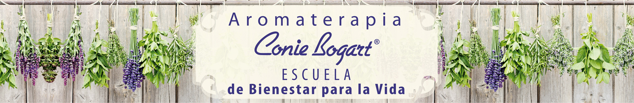 Conie Bogart